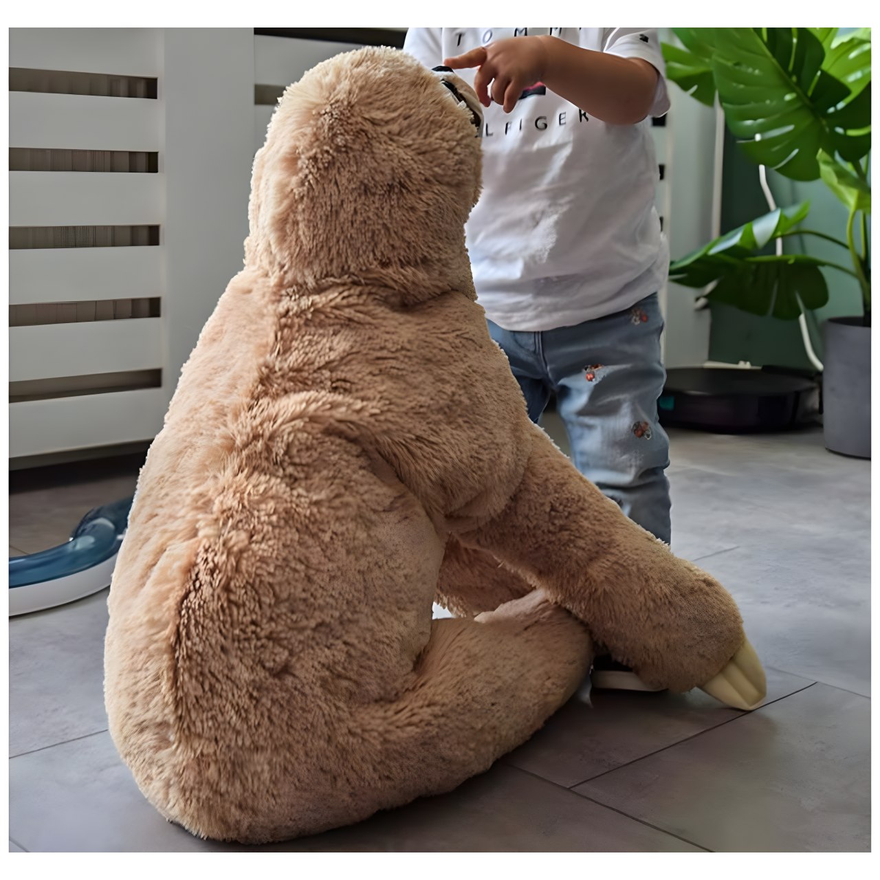 Image du produit