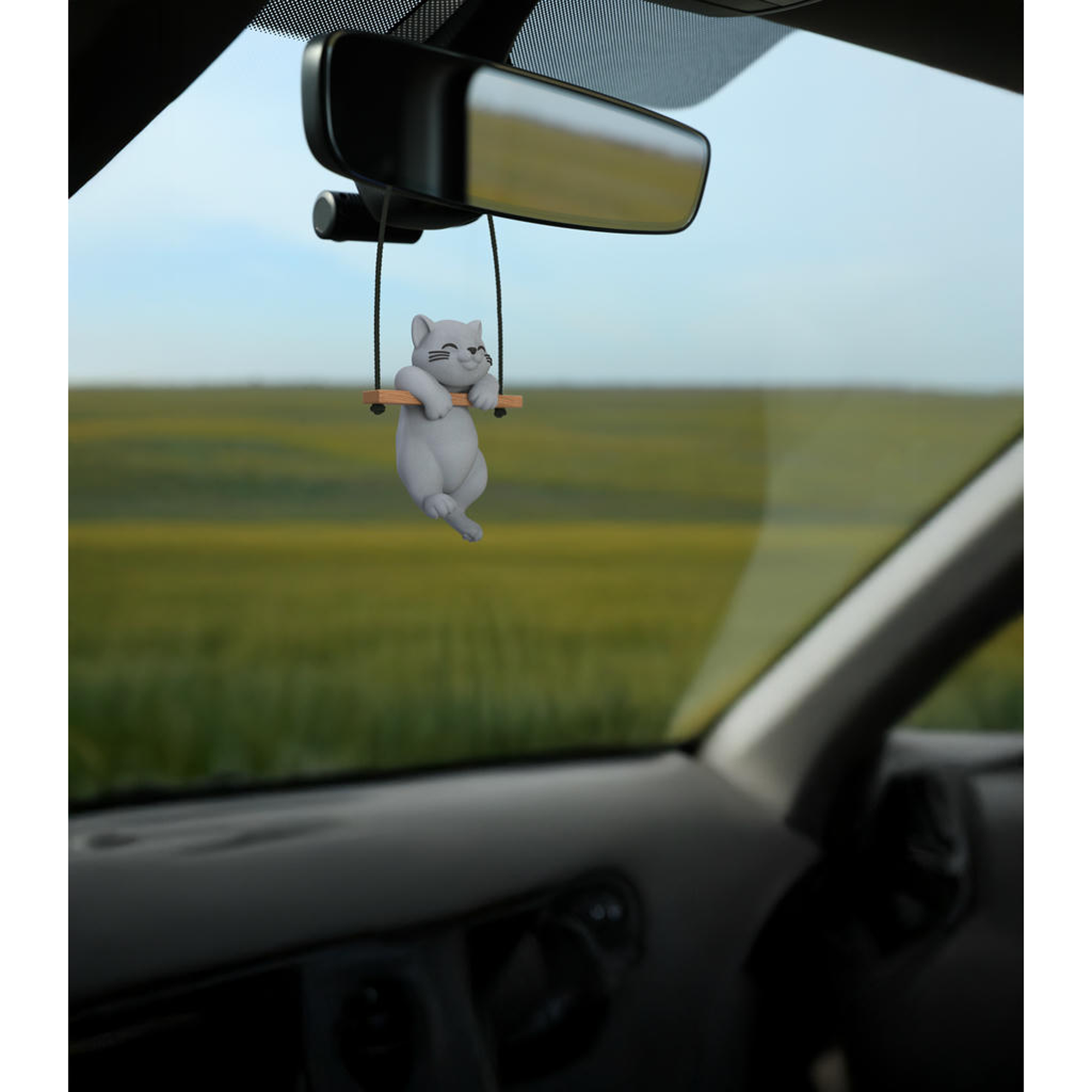 Image du produit