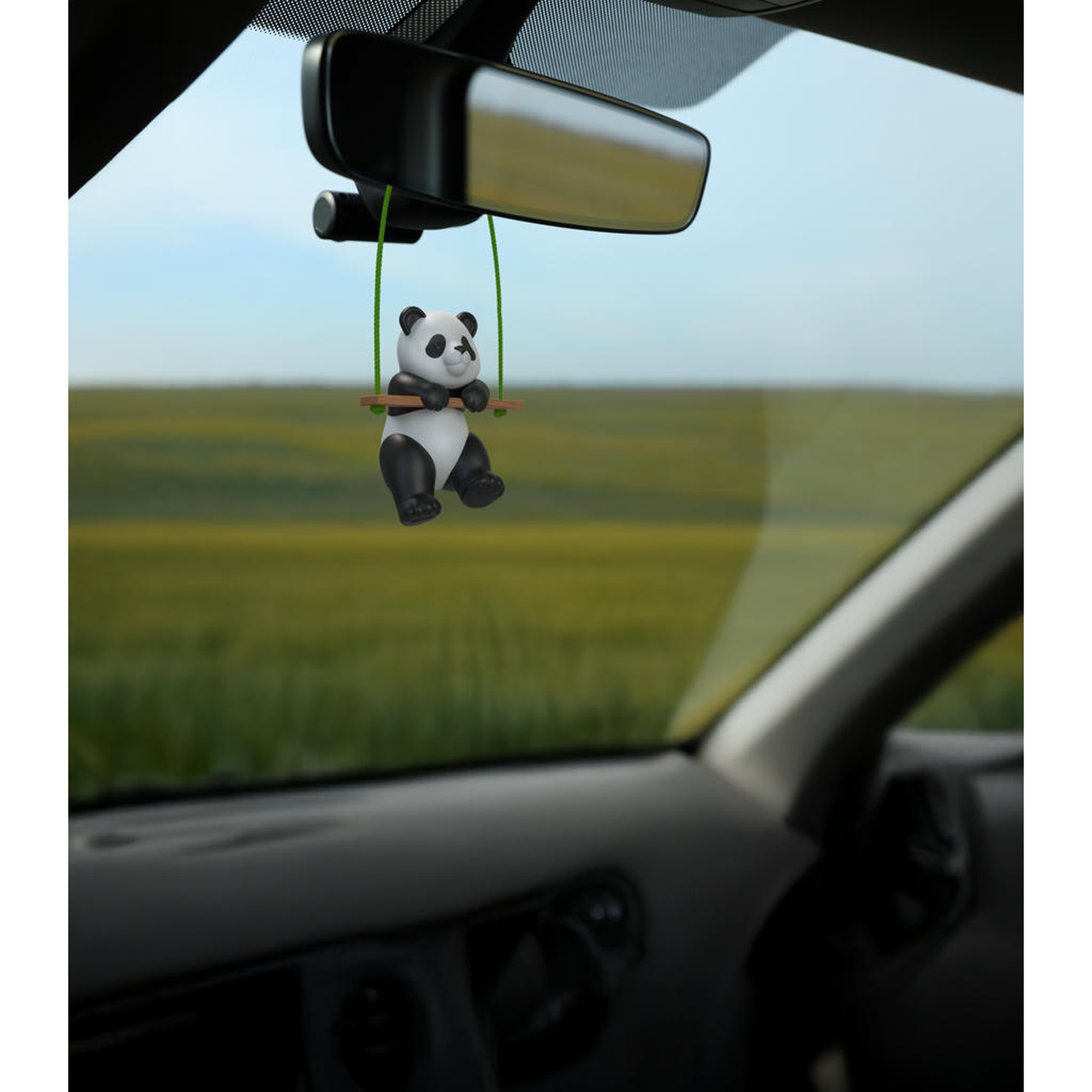 Image du produit