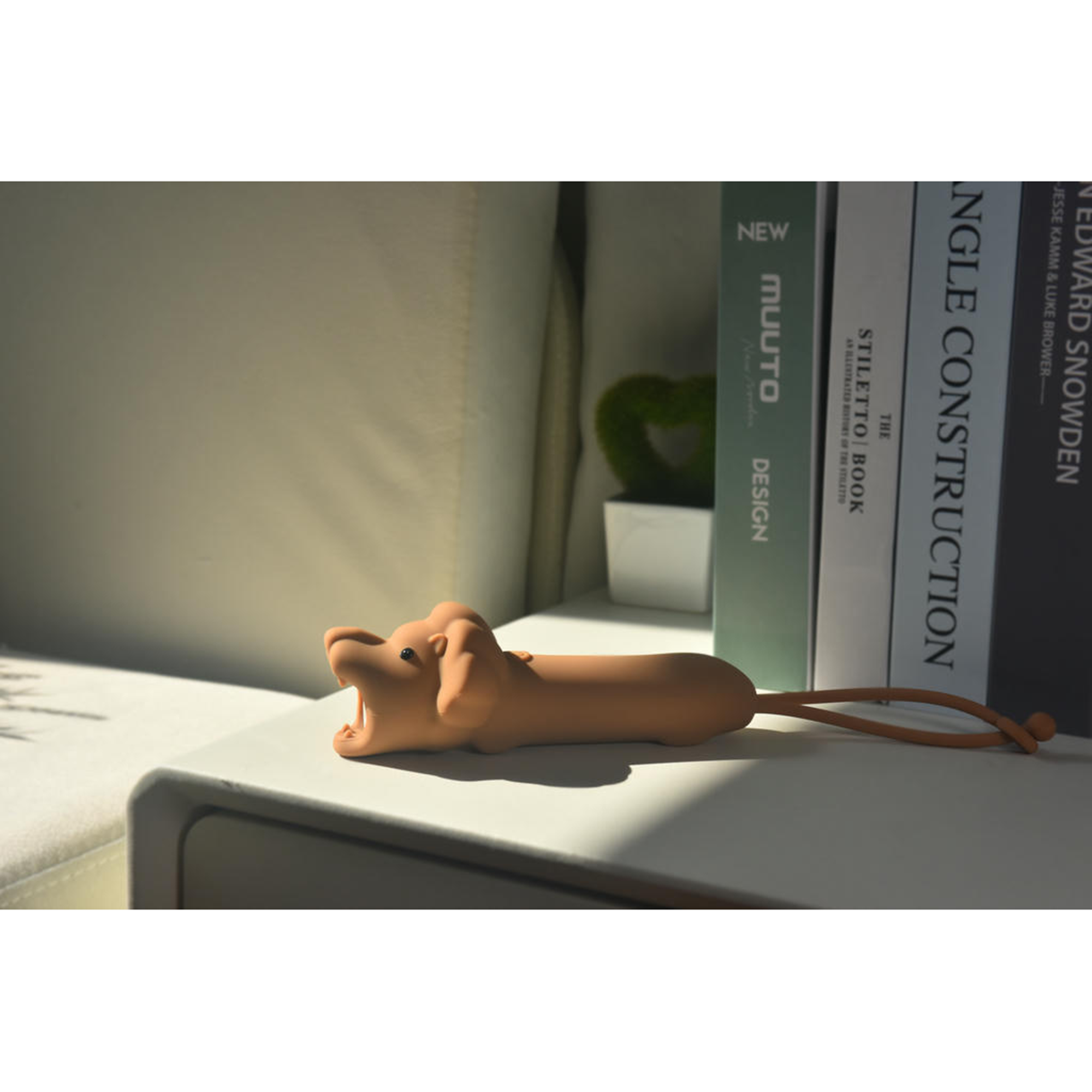 Image du produit