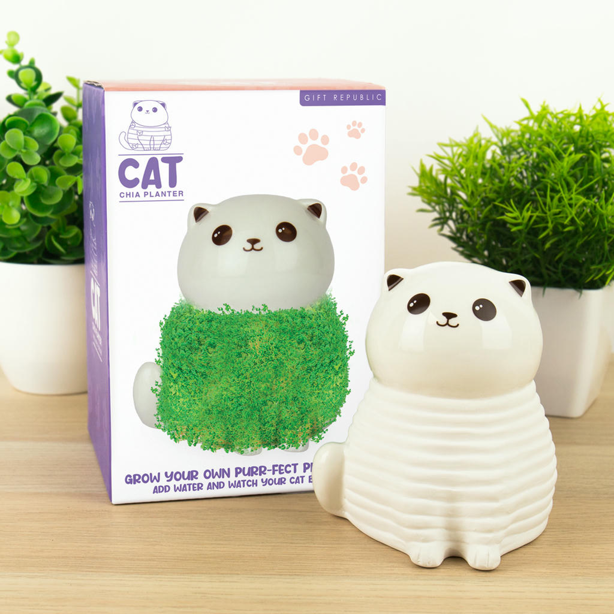 Image du produit