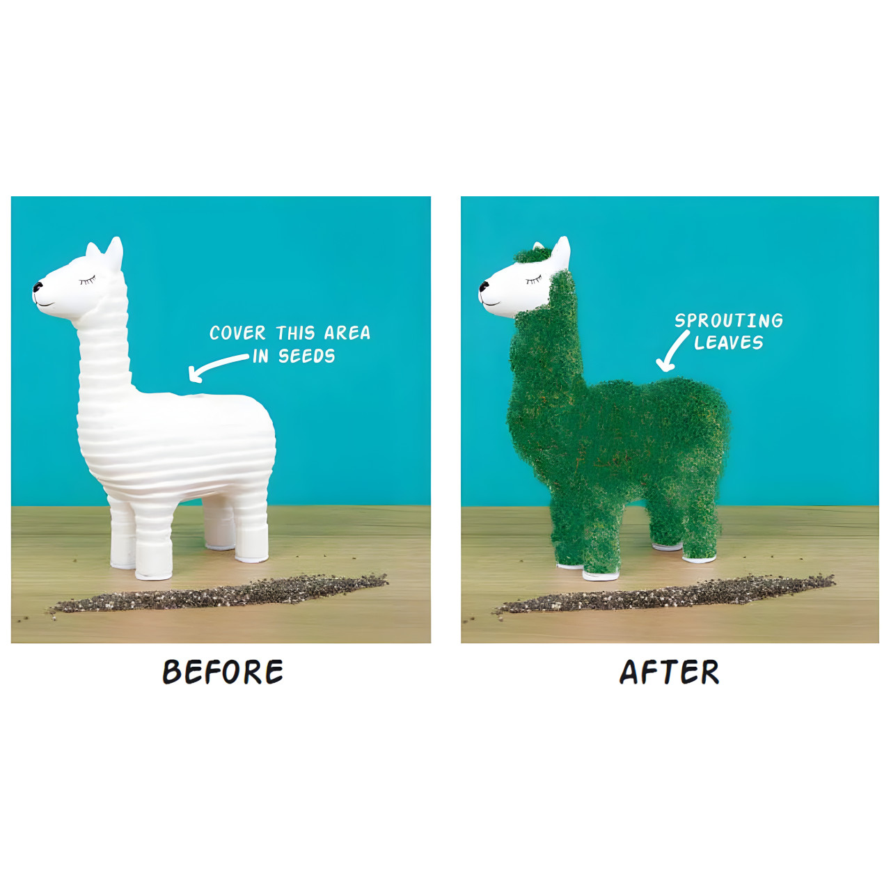 Image du produit